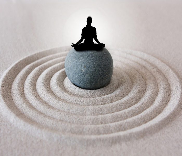 3673fa_871b068f2312473b9726266dc9828750_mv2